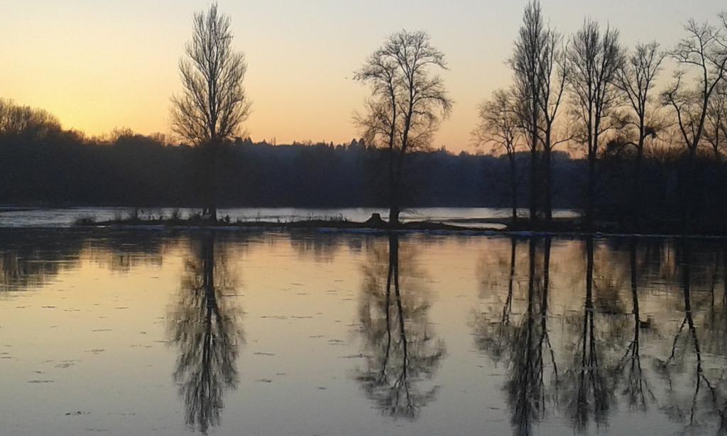 La Chaumiere Bed and Breakfast Ousson-sur-Loire Buitenkant foto