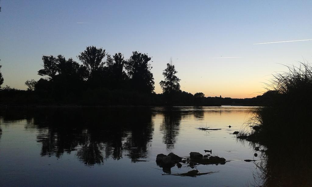 La Chaumiere Bed and Breakfast Ousson-sur-Loire Buitenkant foto